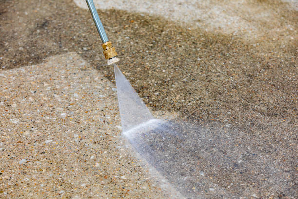 Best Roof Washing  in Springfield, MI