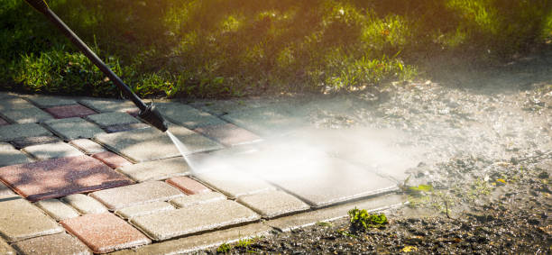 Best Residential Exterior Washing  in Springfield, MI